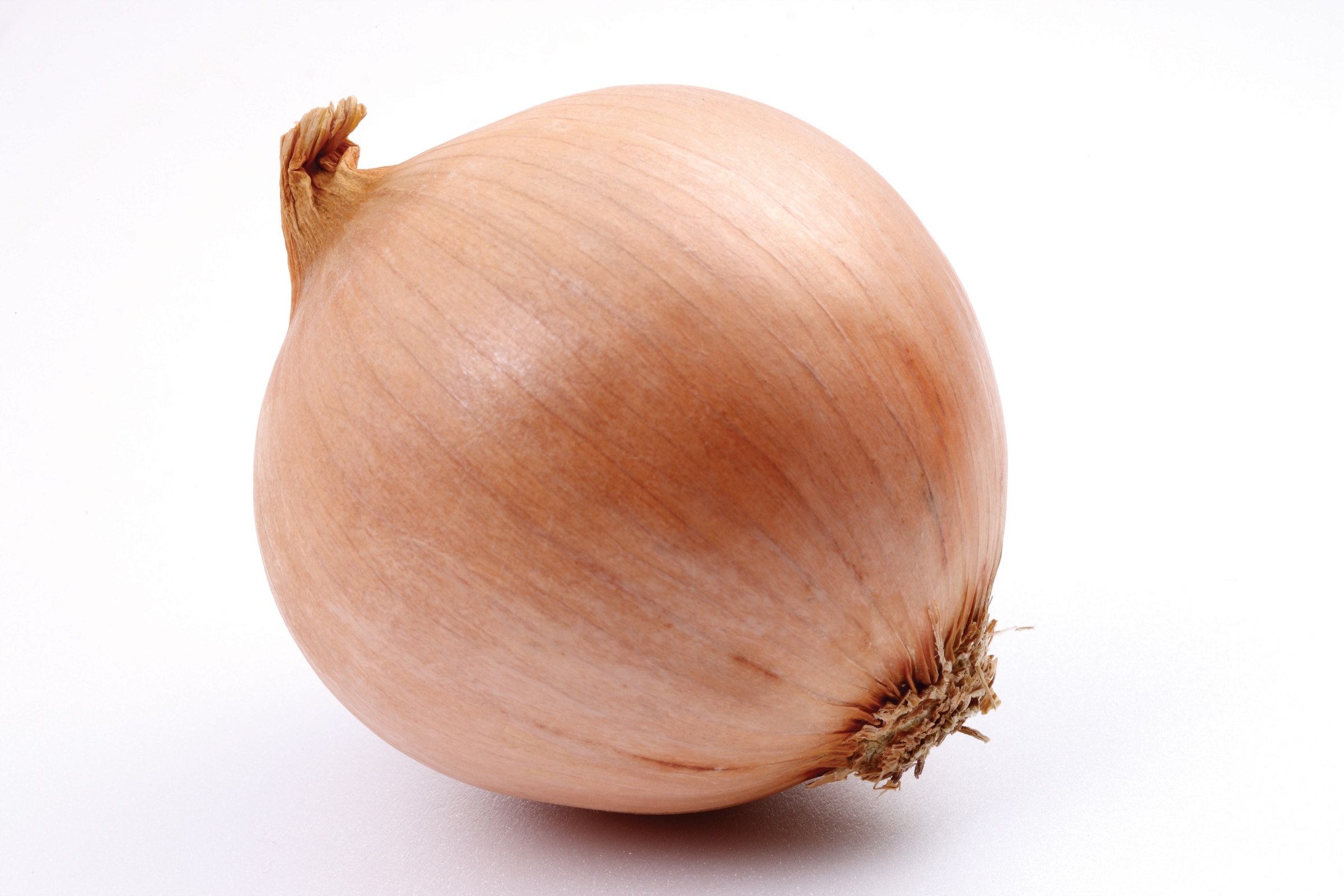 Spanish onion
